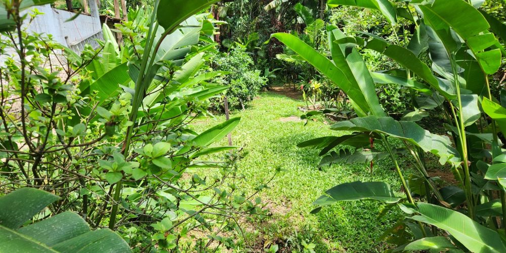 e0a3c573-f5e4-4ef3-b08e-5a510507e25d