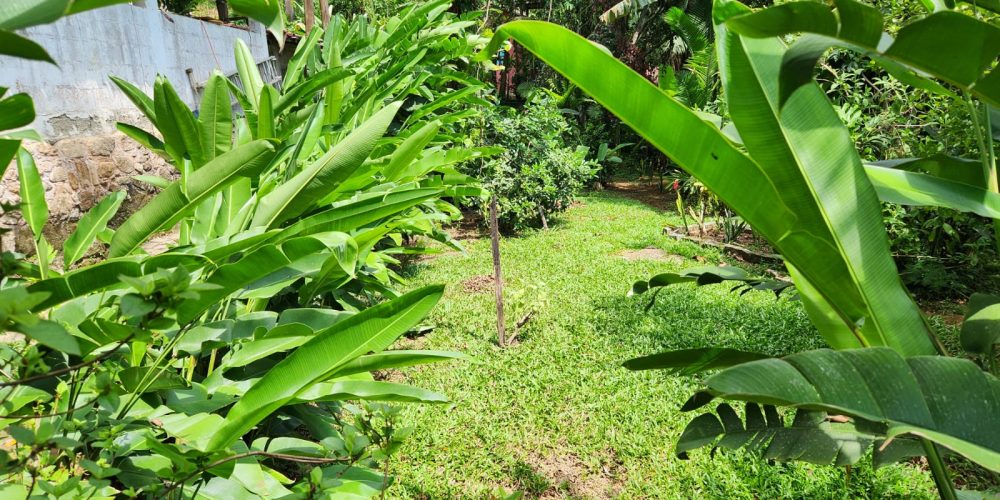 e273b5da-12a3-4d12-b05f-c76e4d4ab2bf