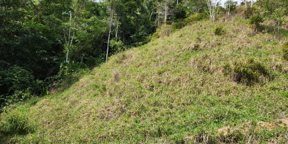 e29fb6ad-800c-47dd-a7ea-430edf8368df