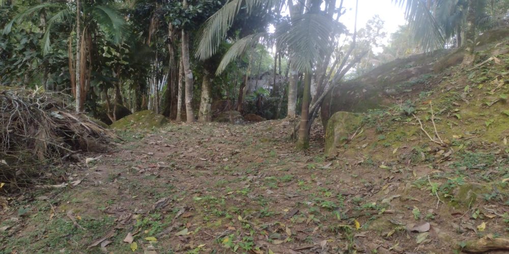 ecfb4b15-ef5c-4acd-b7d5-b3bd2128885c