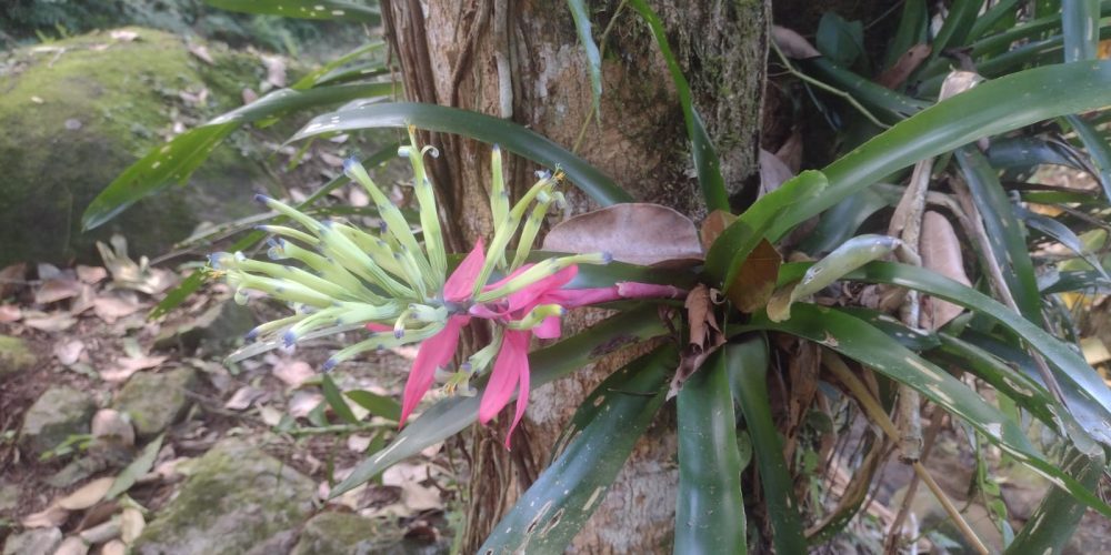 edbc5055-a3ab-4b03-b9e4-5433770b2383