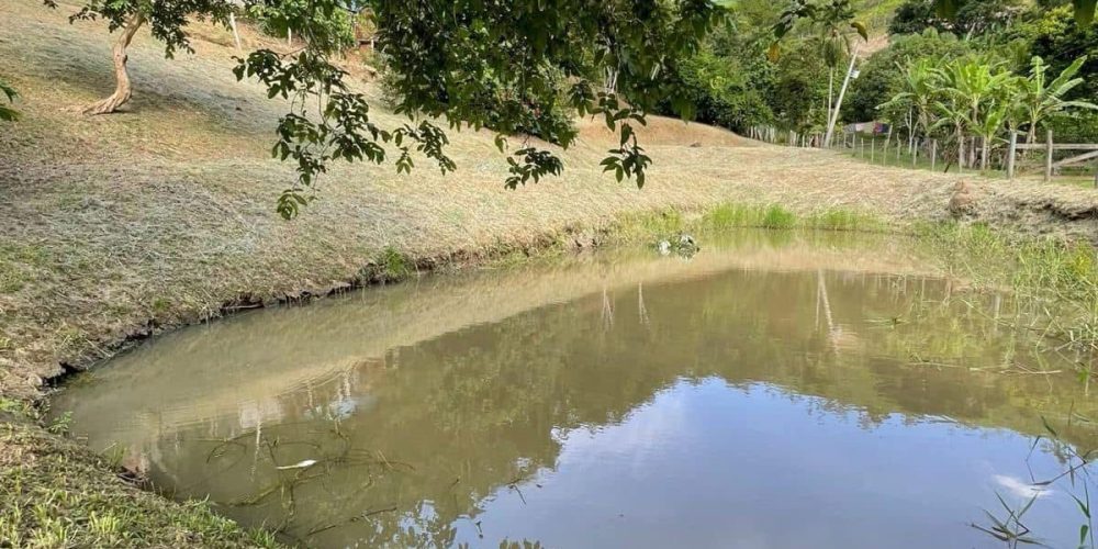 ee96e665-aa97-4840-afee-cea90afca0da