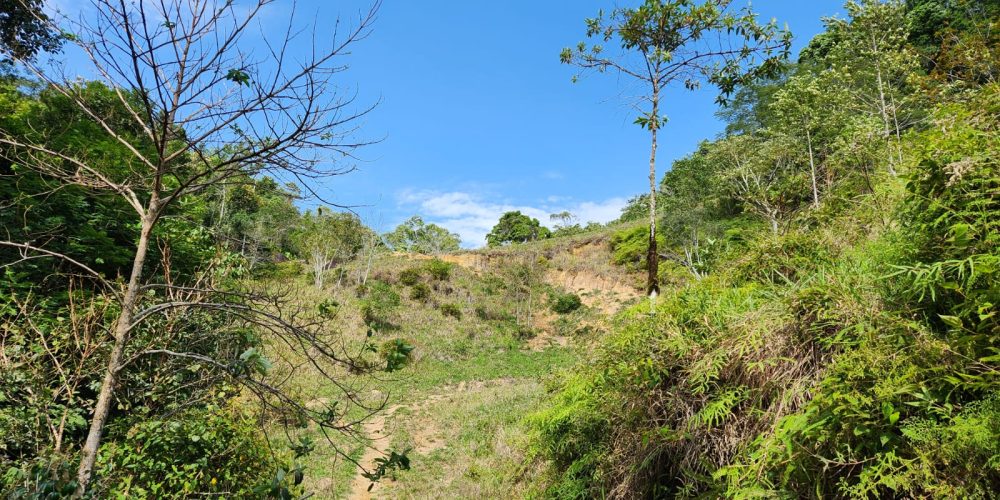 ee9bc97e-2881-4929-b0b9-c77f88f6d793