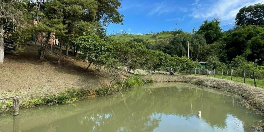 f01104dd-ed0c-4a29-b5a6-e51a9a23a390