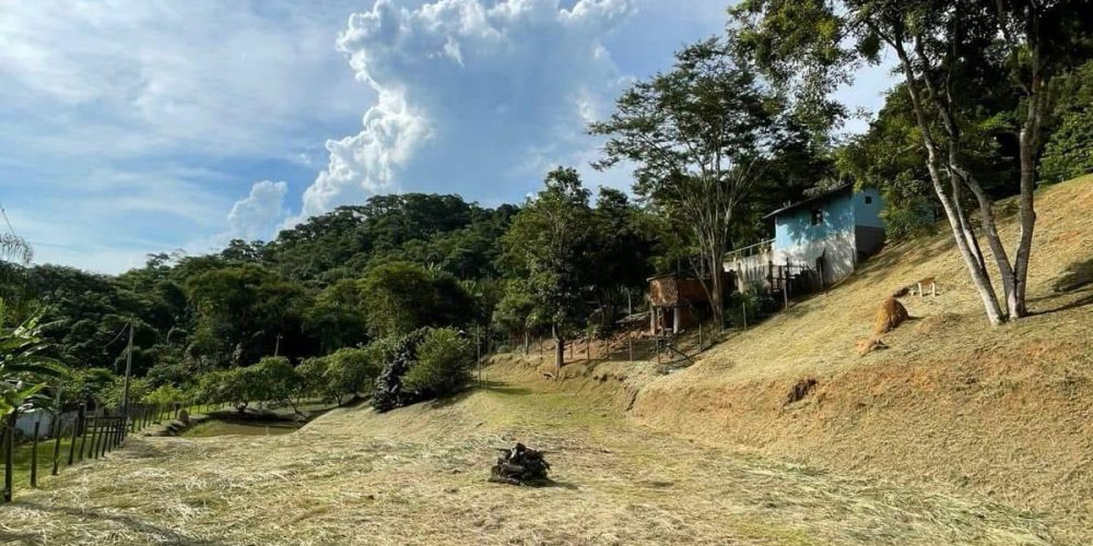 f23193ab-c411-4bac-a5a3-ff1ba9046712