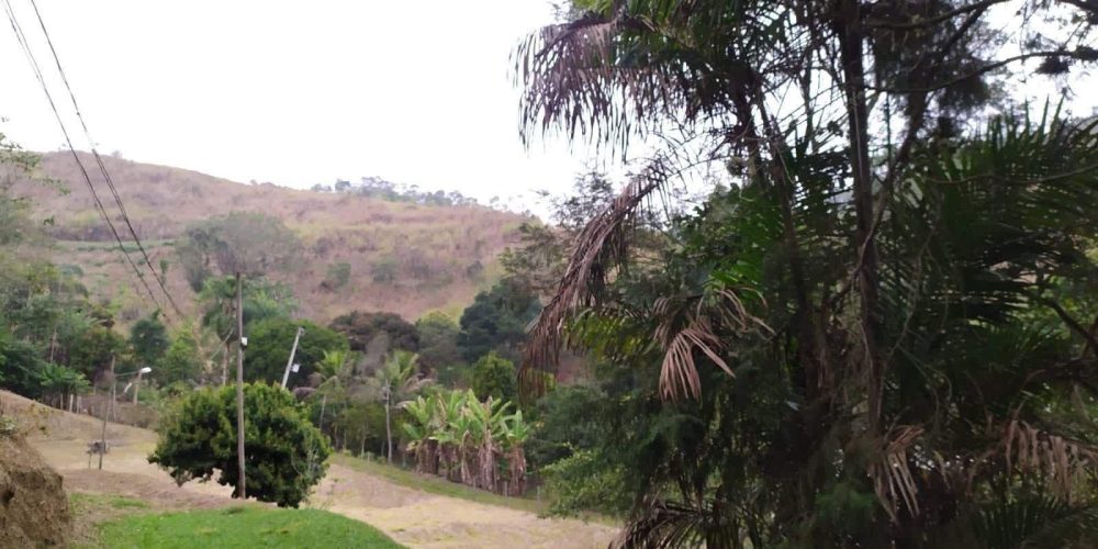 f378f766-e54c-4614-8e0f-3a56b8ffde79