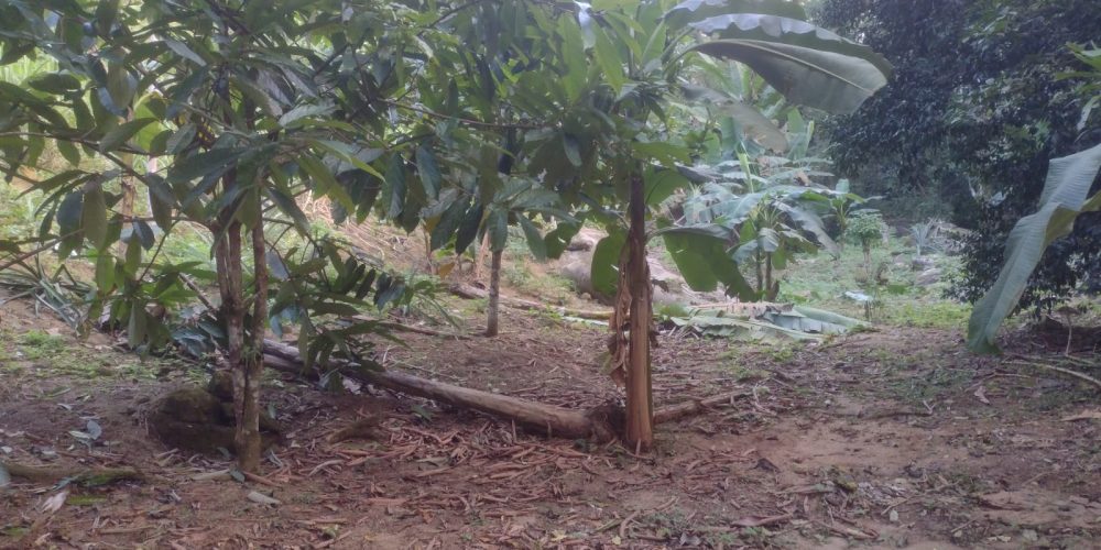 f5636cd4-7cb8-4880-948b-78d483603e5d