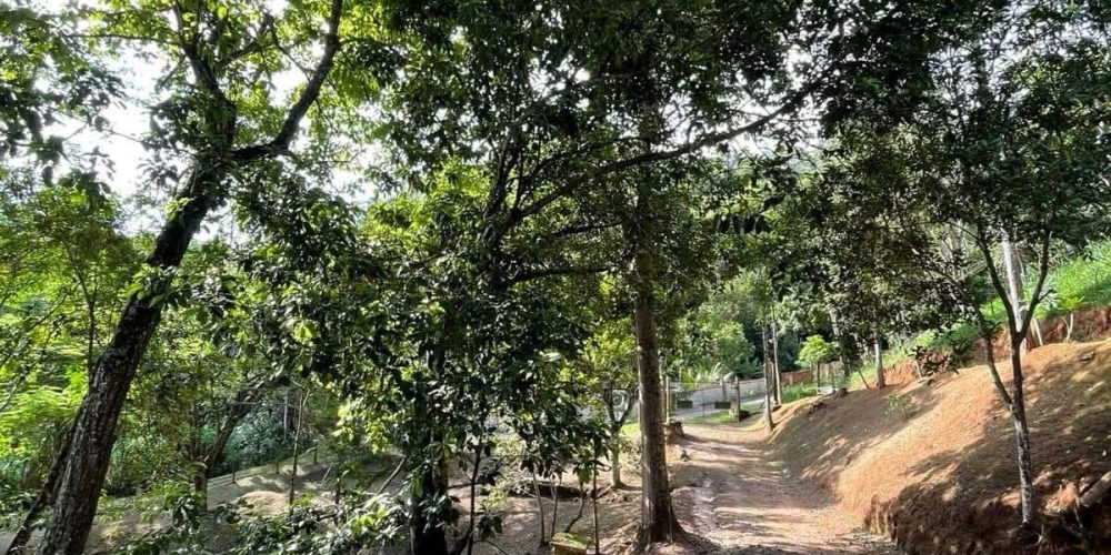 f85246b7-9862-42b2-ae79-d61d628d0a43