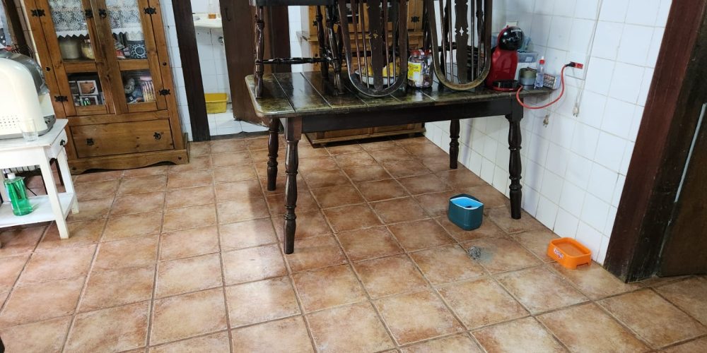 fd25f98b-8db4-49b5-8042-59775c008498