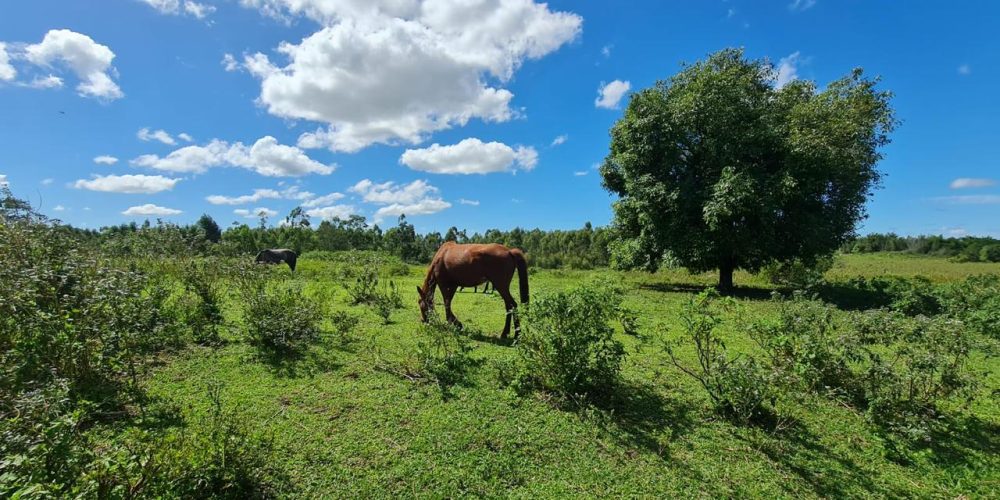 ffc26283-02a4-464a-9d25-9ff7a8e3a579