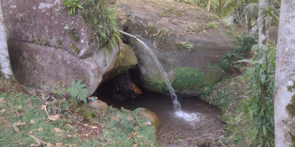 rj-paraty-barra-grande-br-101-km-559-paraty-rj-chacara-sitio-a-venda-4-s-64472b07-00-013-b4c7b6a5