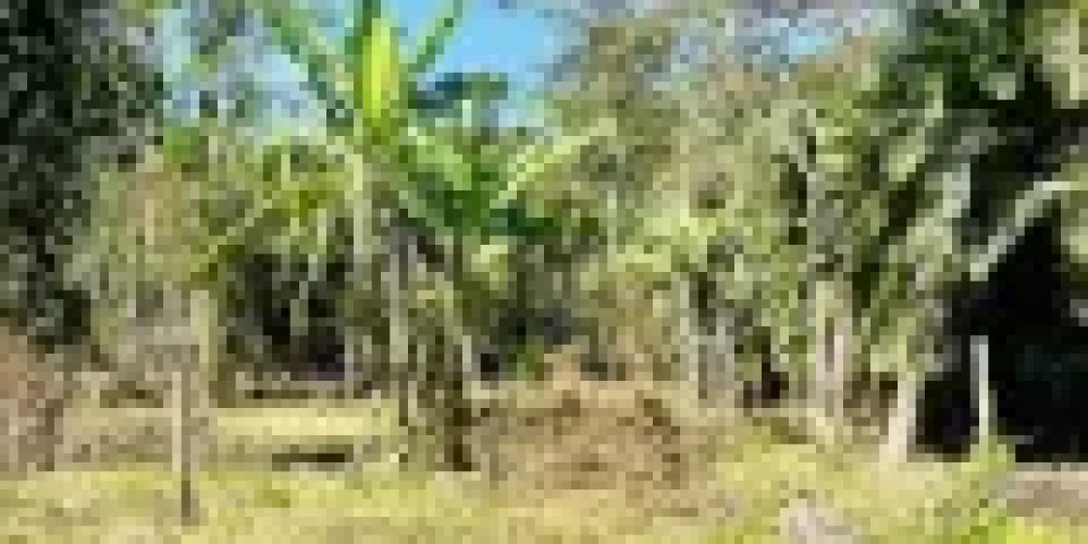 rj-paraty-barra-grande-rua-sao-roque-terreno-a-venda-6435f513-02-013-09d492ad