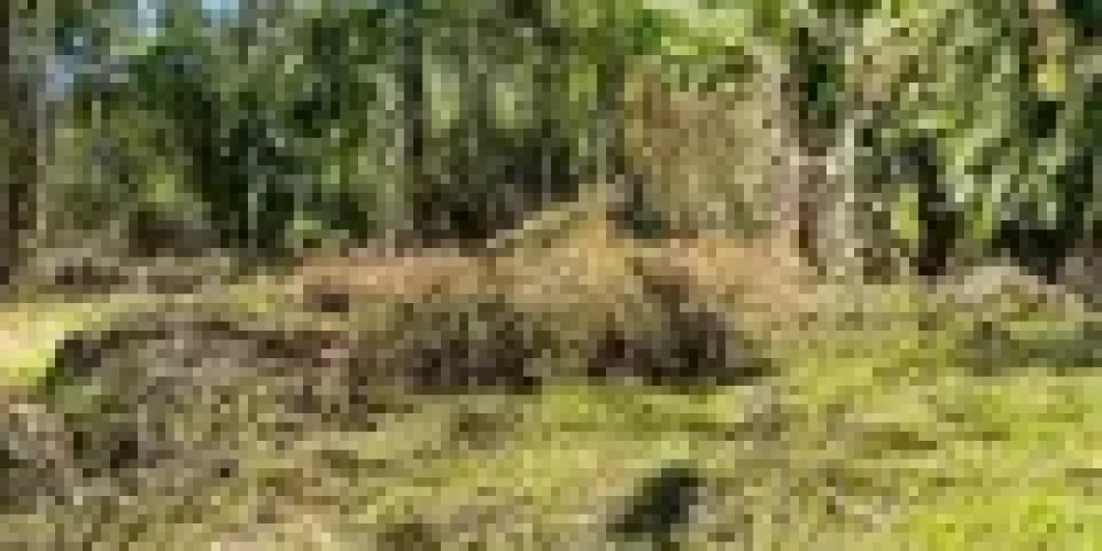 rj-paraty-barra-grande-rua-sao-roque-terreno-a-venda-6435f513-03-013-51040d9d