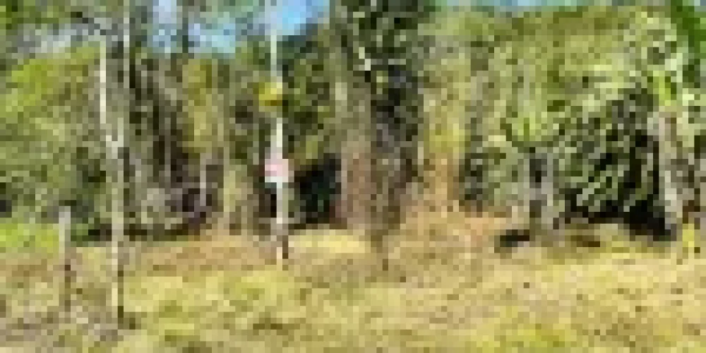 rj-paraty-barra-grande-rua-sao-roque-terreno-a-venda-6435f513-05-013-6d12dacd