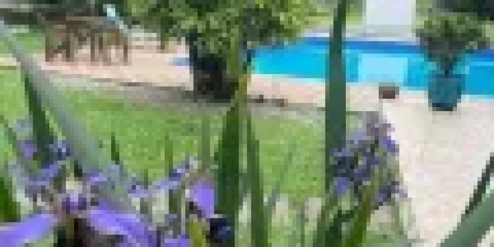 rj-paraty-centro-casa-a-venda-18-quartos-642c127d-12-013-9177c4ba