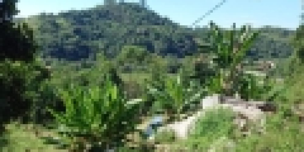 rj-paraty-tarituba-br-101-km-567-chacara-sitio-a-venda-2-s-6508dd77-01-013-53943bb4