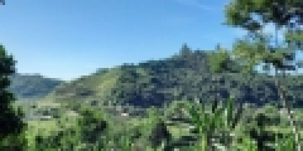 rj-paraty-tarituba-br-101-km-567-chacara-sitio-a-venda-2-s-6508dd77-05-013-b4fdf893